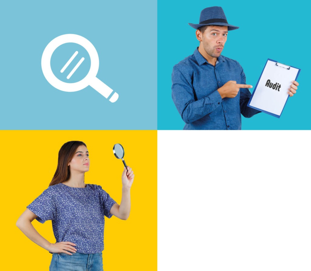 Audit